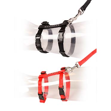 [11202] GROTE KAT WANDELSET DIAMANTEN 30-50cm / 12mm - 125cm gemengde kleuren
