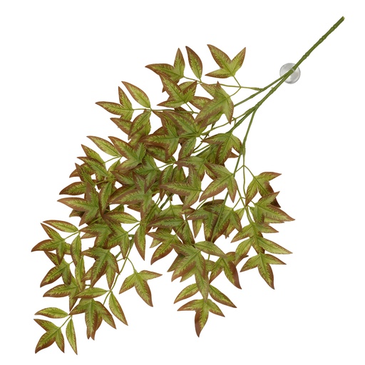 [243/470428] Hangende plant Nandina 65x35x1,5cm groen
