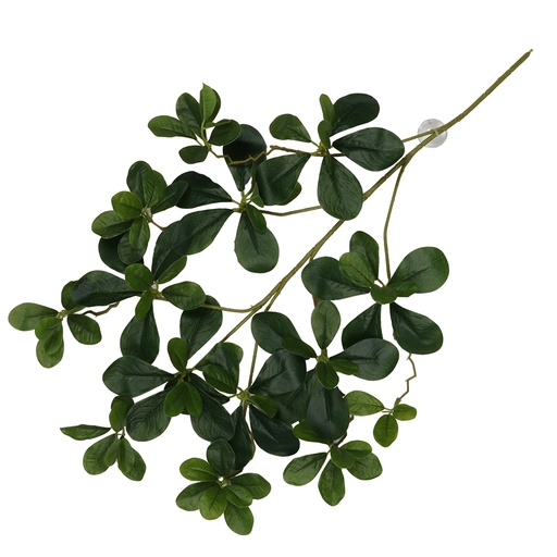 [243/470466] Hangende plant Aralia 60x30x6cm groen