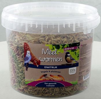 [E427211] # Meelwormen emmer 2,5ltr