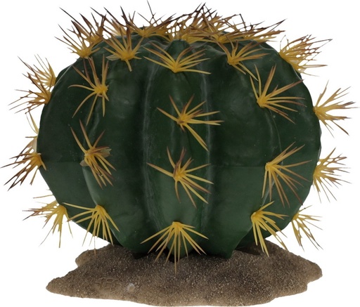 [243/482681] Echinocactus 1 16,5x15,5x14cm groen