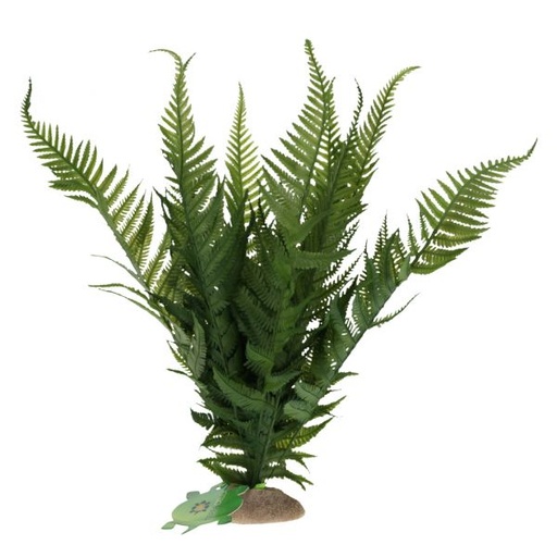 [243/482780] Varen L - 31x16x34cm groen