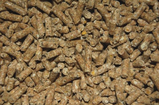 [10264] # * Scharrel korrel kip 20kg