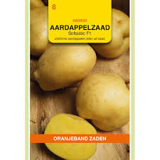 [660000] OBZ Aardappelzaad Soltastic F1, SOLHY012