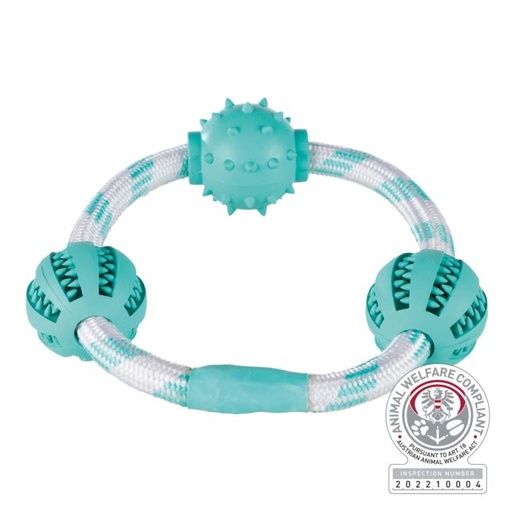 [33704] Denta Fun koordring met ballen, munt, natuurrubber, ø 20 cm/ø 5 cm