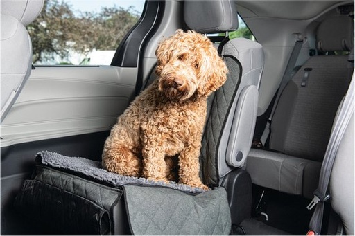 [705200] DIRTY DOG AUTODEKEN GRS 112X89
