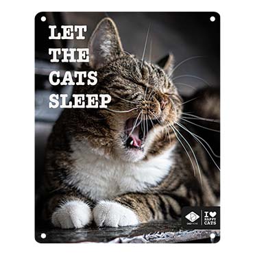 [695/481356] I LOVE Happy Cats bord 'let the cats sleep' 20x25cm Meerkleurig