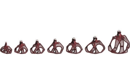 [524116] HARNAS STEP EN GO BENTO AUBERGINE XXS 24-25CM