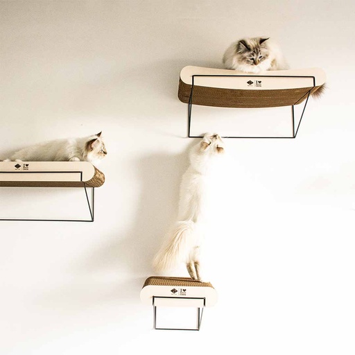 [433/484494] DAVID gebogen - kartonnen wandplank 60x29x24cm - max. 10kg bruin/beige