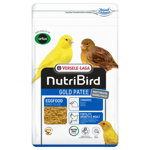 [422253] #  Gold Patee Kanaries 10 kg