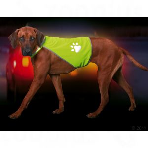 [BR_112732] HONDENHES SAFETY DOG L