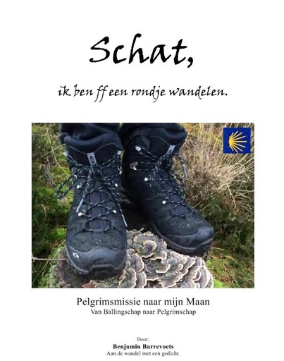 [Barrevoets Benjamin ] # Boek Benjamin Barrevoets.