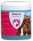 [DEEP00505] Deep Ice 500ml