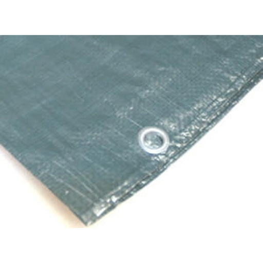 [37213] DEKKLEED GROEN 6X8 MTR