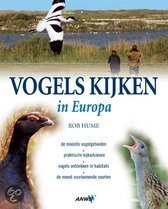 [BR_123546] Vogels kijken