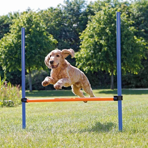 [BR_125494] Agility fun horde blauw-oranje