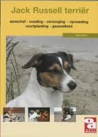 [BR_128165] OD Jack Russel Terrier