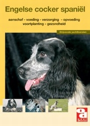 [BR_128169] OD Engelse Cocker Spaniel