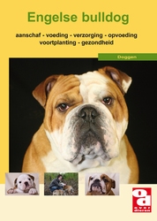 [BR_128181] OD Engelse Bulldog