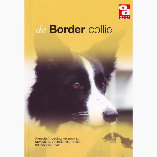 [BR_128505] OD Border Collie