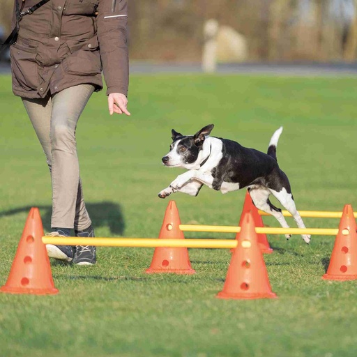 [BR_129858] Agility hordenset 6 pionnen 3 stangen