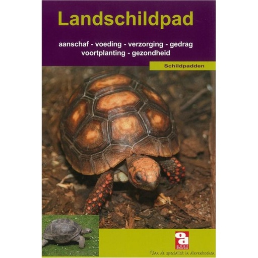 [BR_130665] OD Landschildpad