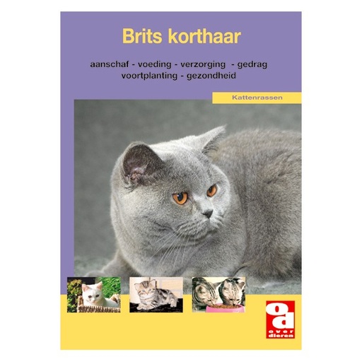 [BR_130668] OD Brits Korthaar