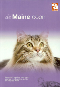 [BR_130669] OD De Maine Coon