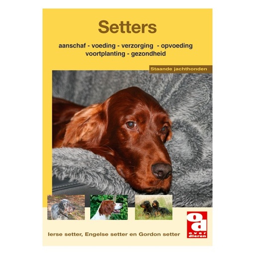 [BR_130673] OD Setters