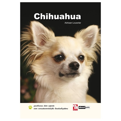 [BR_130674] OD Chihuahua