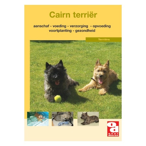 [BR_130675] OD Cairn Terrier