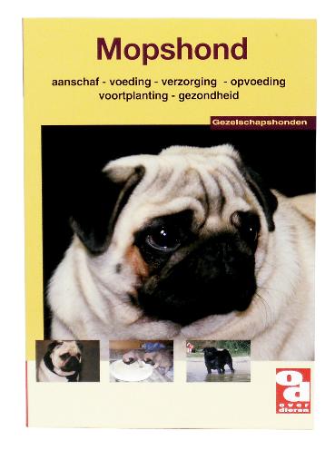 [BR_130677] OD Mopshond