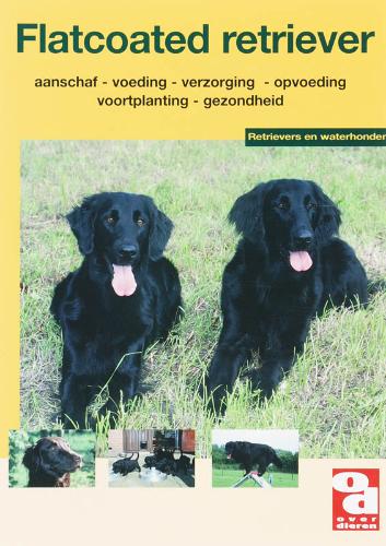 [BR_130679] OD Flatcoated Retriever
