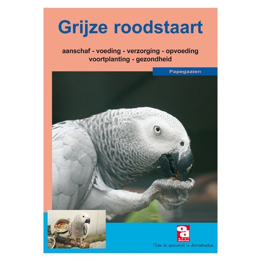 [BR_130680] OD Grijze Roodstaart