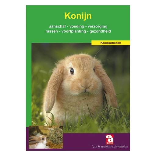 [BR_130692] OD Konijn
