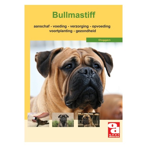 [BR_131421] OD Bullmastiff