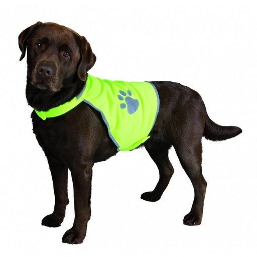 [BR_131941] Veiligheidsvest Safety maat S