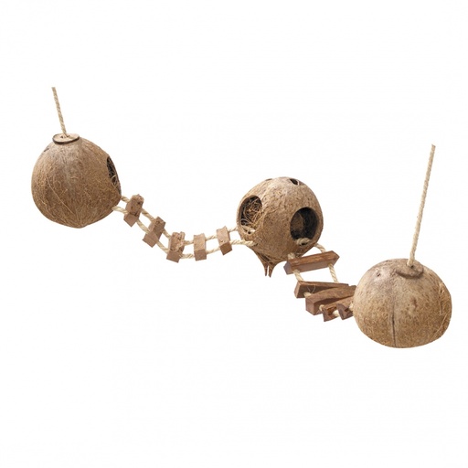 [BR_132729] COCONUT GLOBEHOUSE MET LADDER MET TOUW 3x130MM