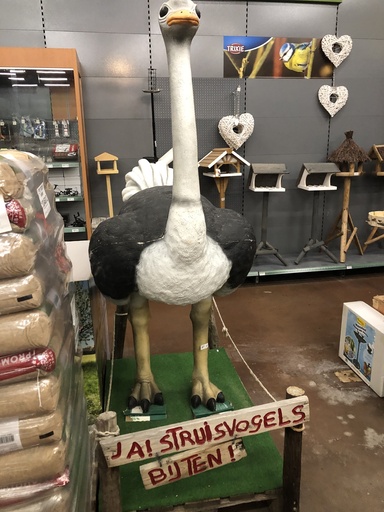 [BR_133654] Beeld Struisvogel