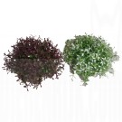 [BR_133851] KP Waterball Maxi 10cm Ass.