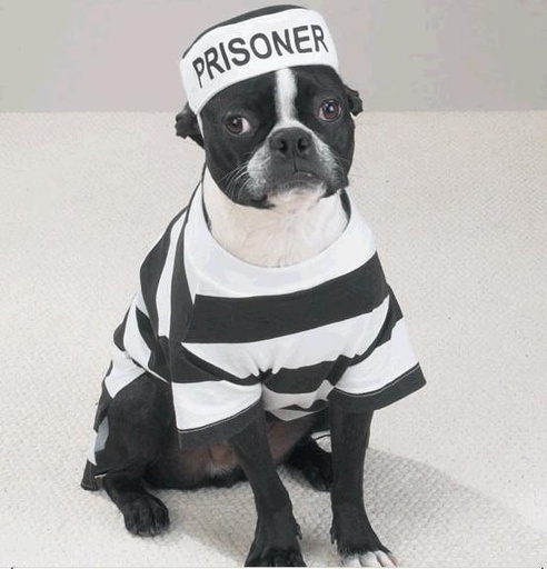 [BR_135703] Prisoner kostuum S