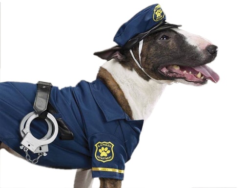 [BR_135708] Politie kostuum L