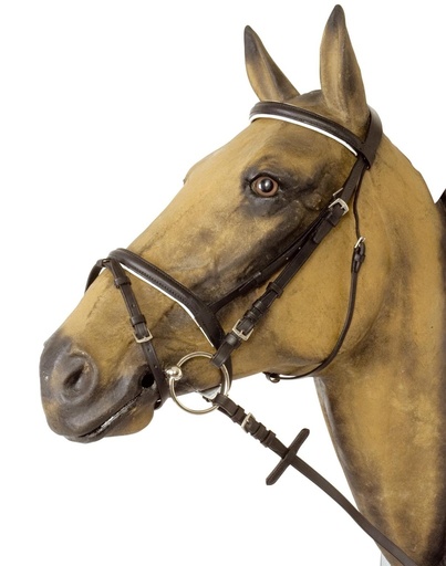[BR_136363] Hoofdstel gecomb.neusriem ZW/W pony