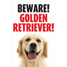 [BR_137311] Waakbord Golden Retriever