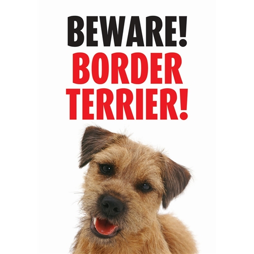 [BR_137313] Waakbord Border Terrier
