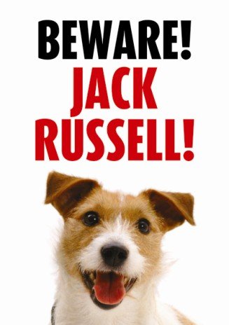 [BR_137314] Waakbord Jack Russell