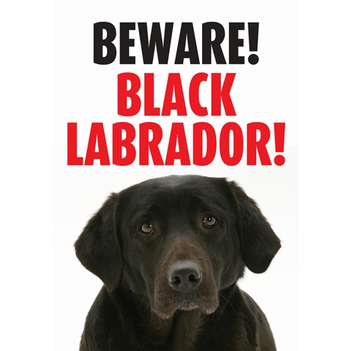[BR_137317] Waakbord Labrador (Black)