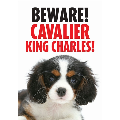 [BR_137319] Waakbord Cavalier KC