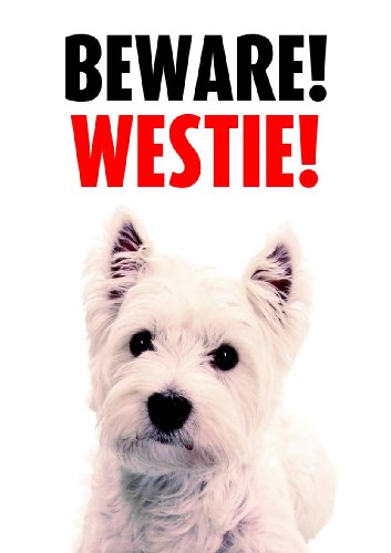 [BR_137326] Waakbord Westie