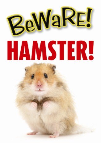 [BR_137329] Waakbord Hamster